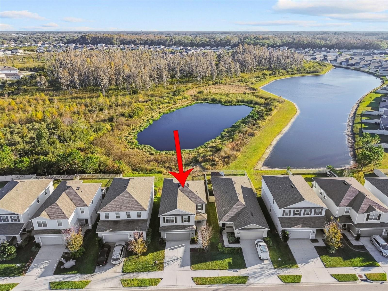 Conservation lot with pond