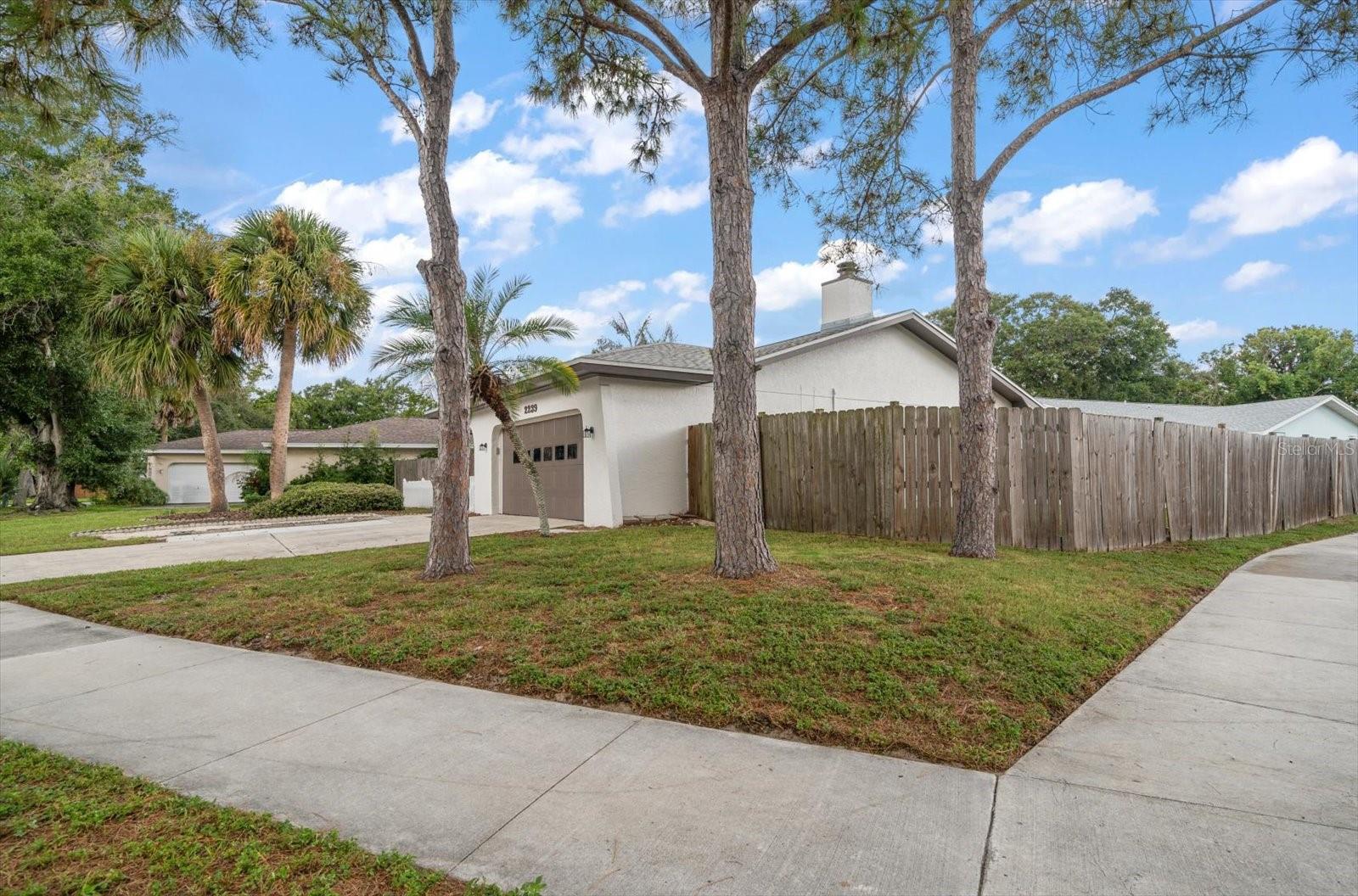 Front side yard with large gate