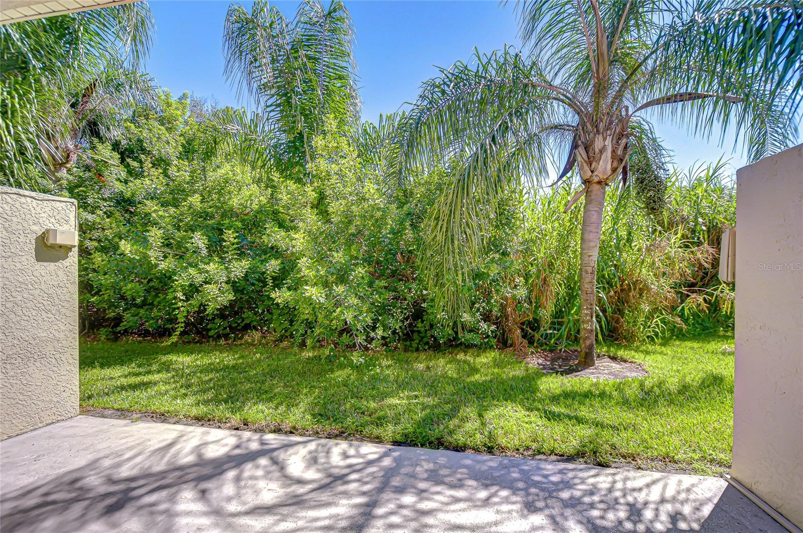 Tropical oasis outside!