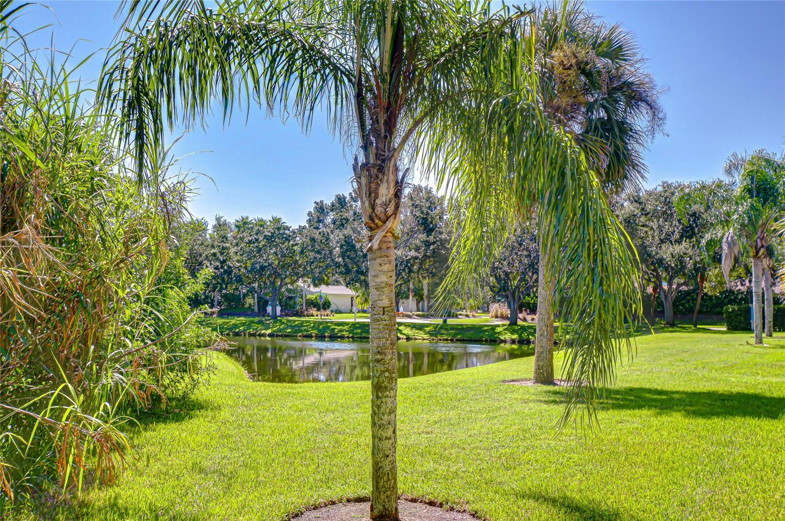 Pond views from the patio!