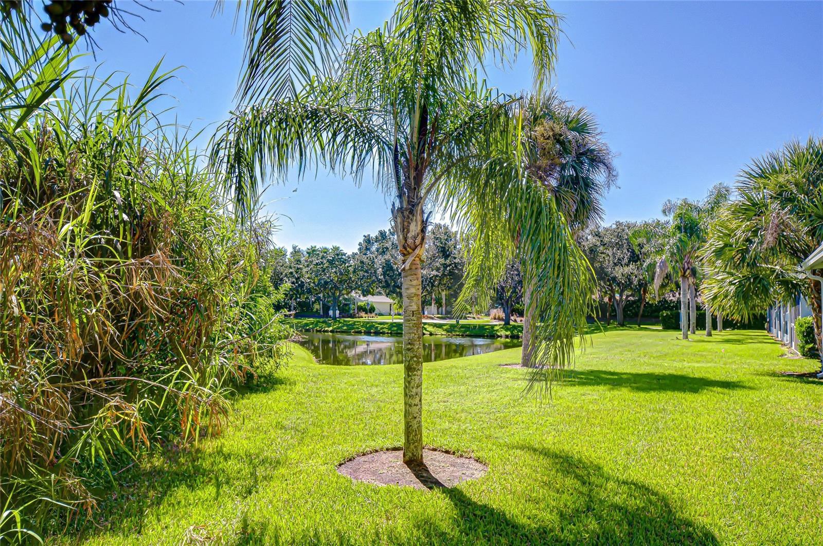 Peaceful pond views!