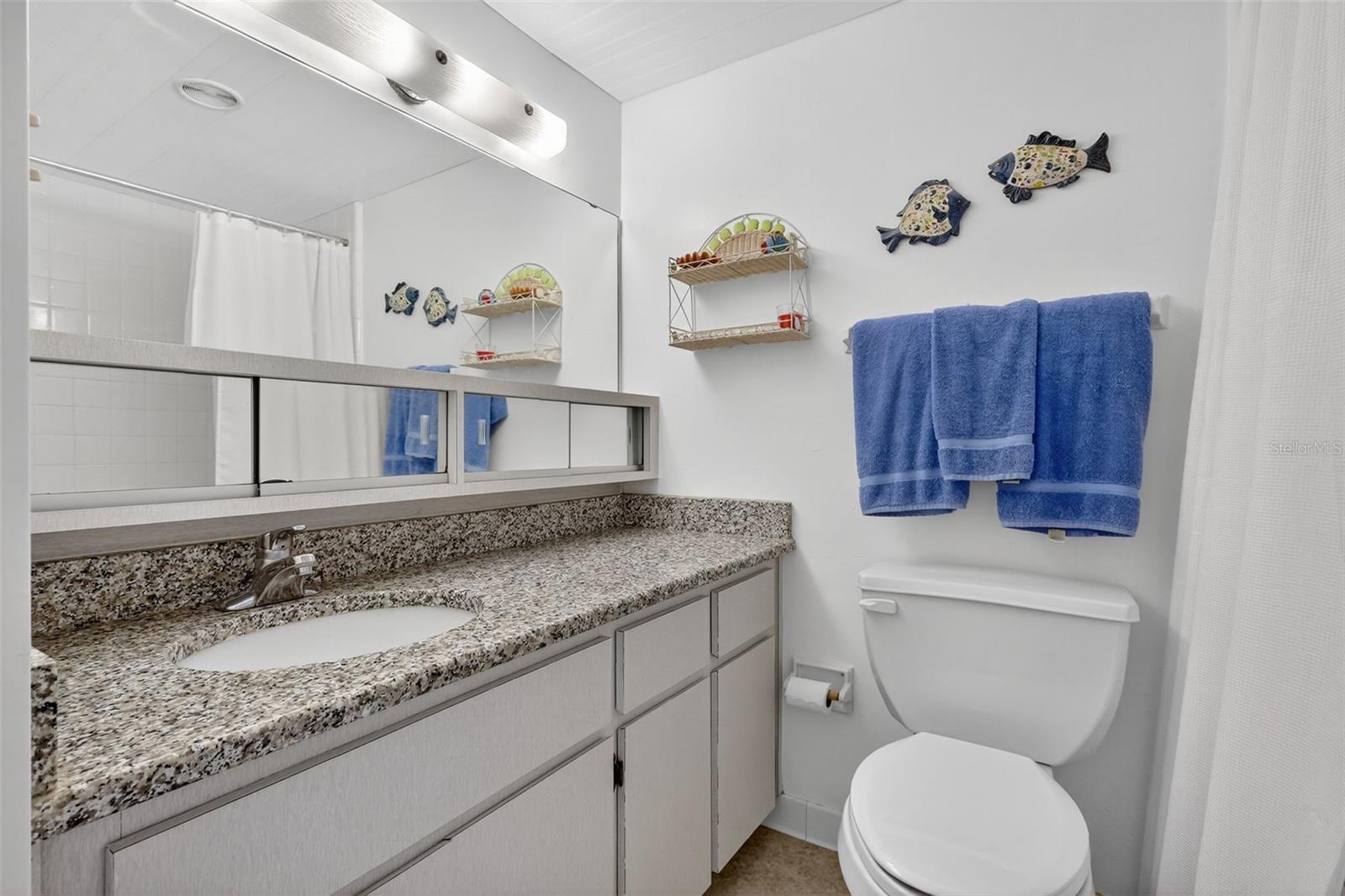 Primary En-Suite bath