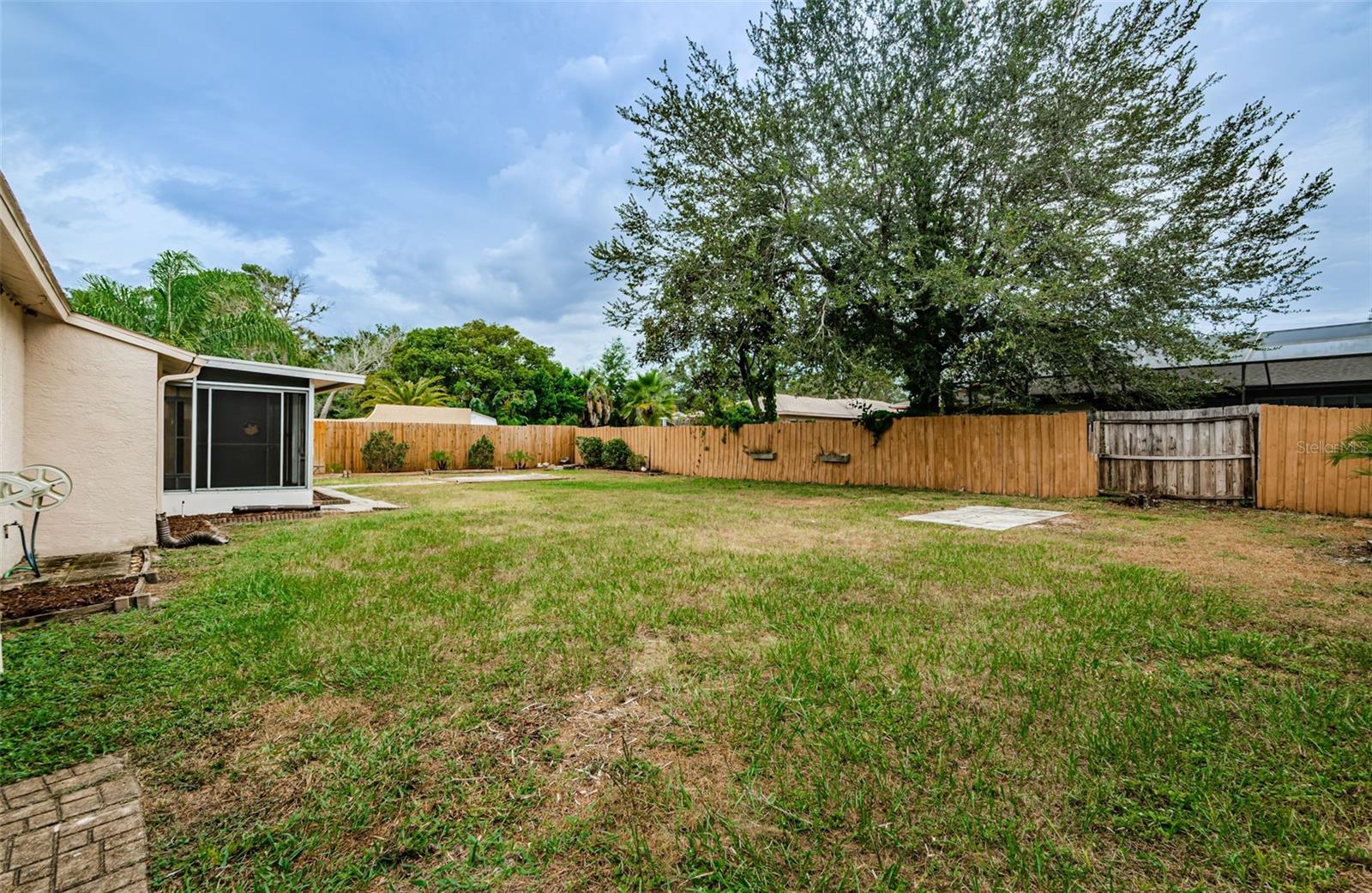 Backyard - .20 acre lot