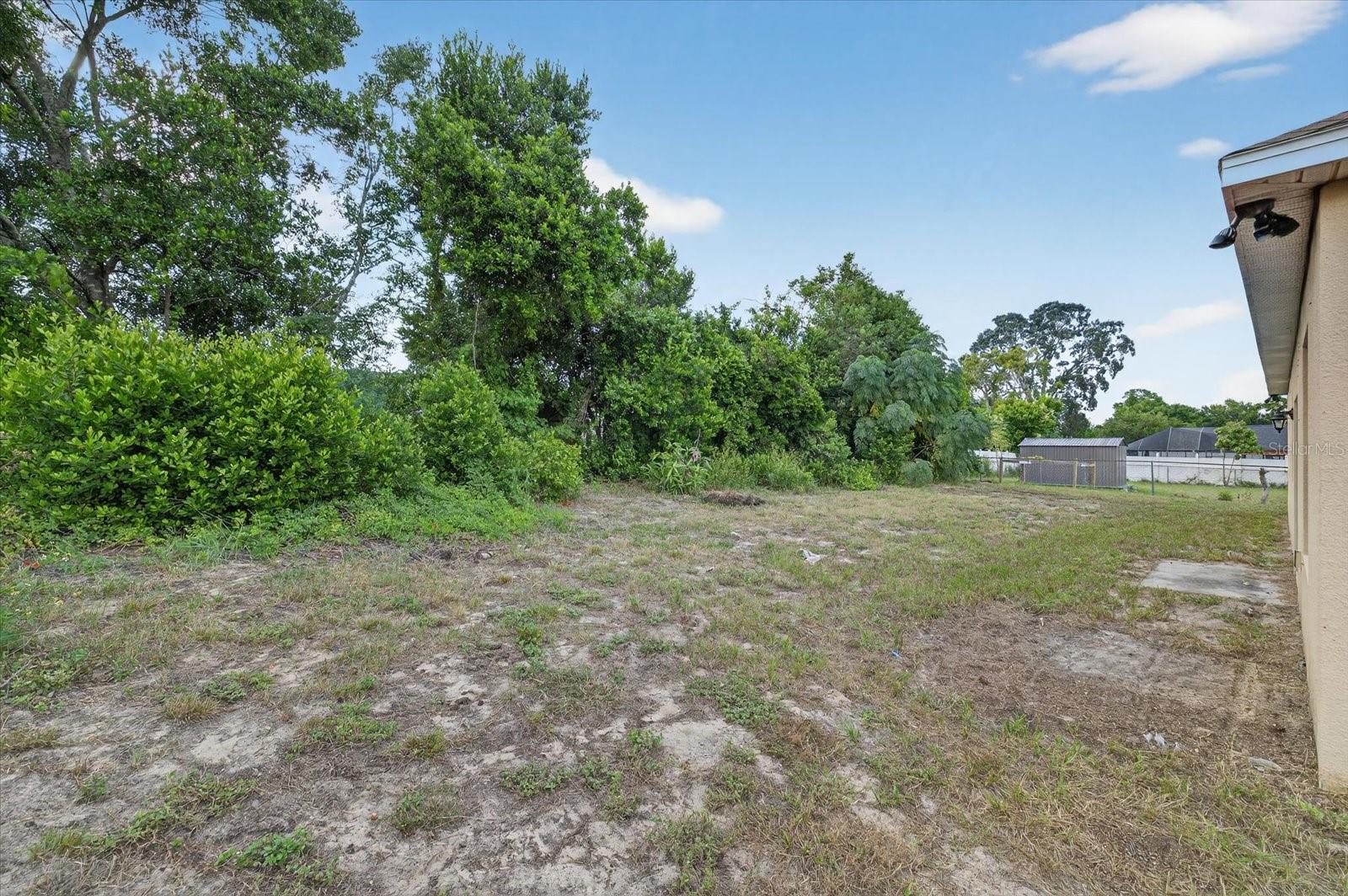 Backyard with no rear neighbors