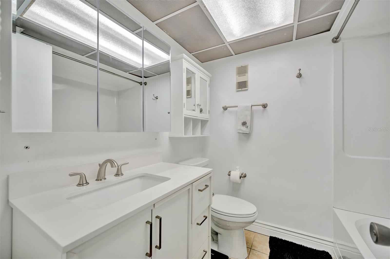 Primary bathroom
