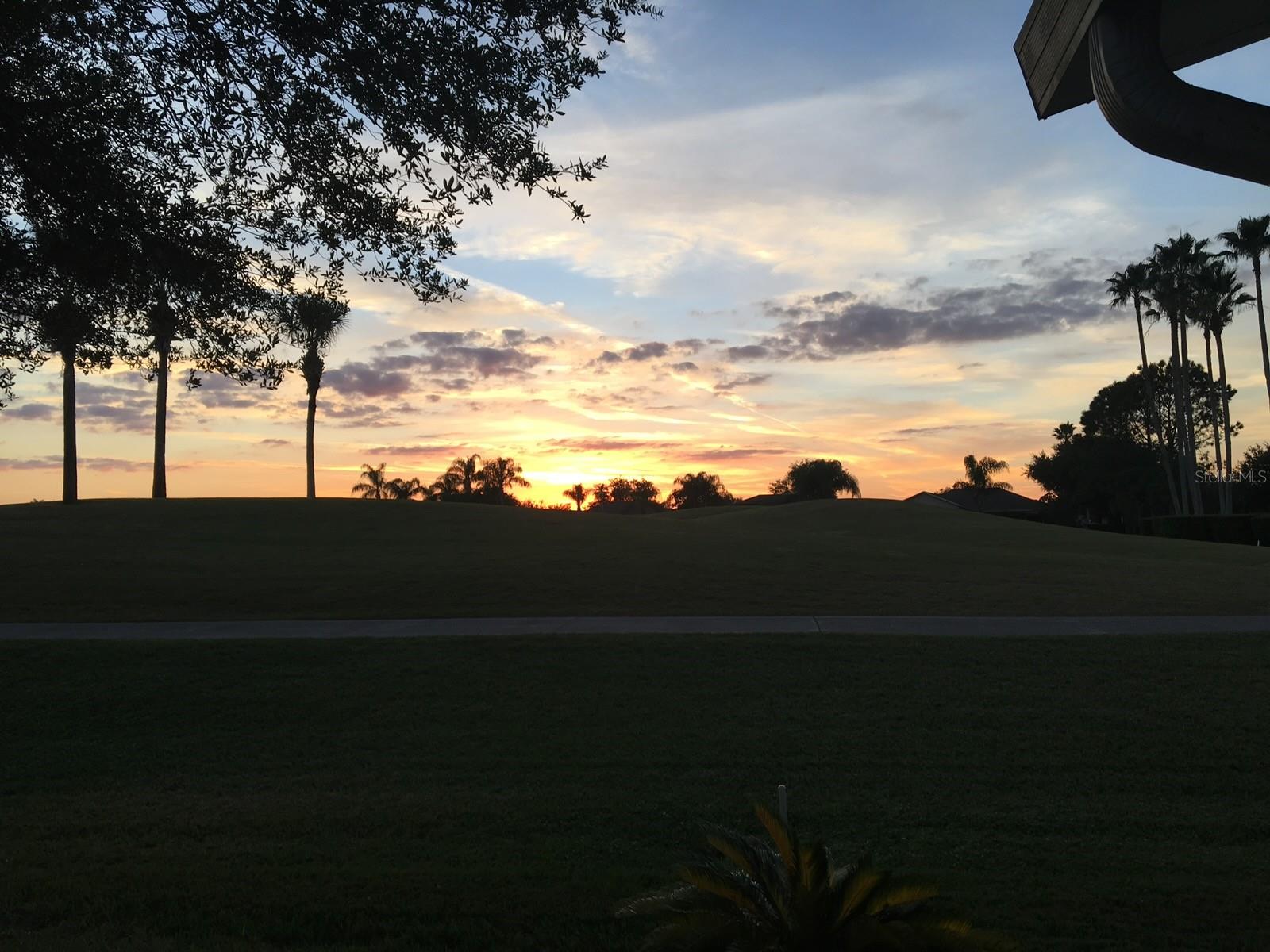 Sunset on Flora Vista