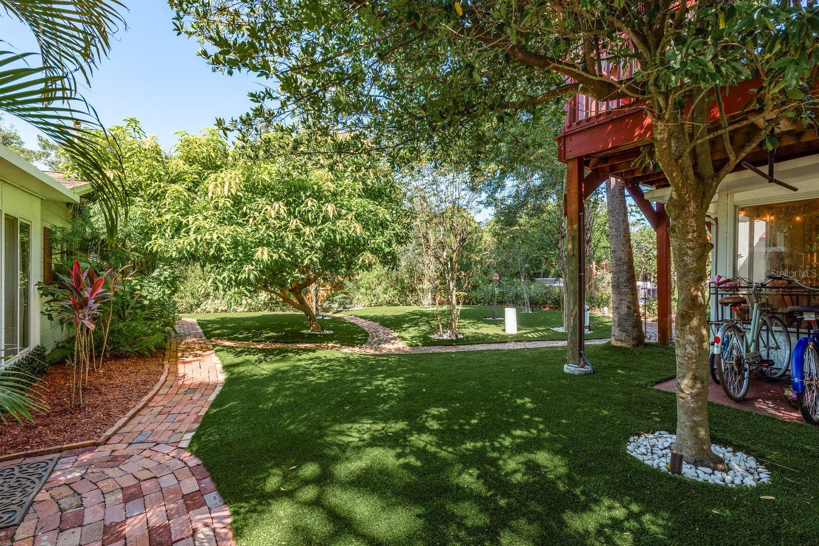 Yard between main house and cottage