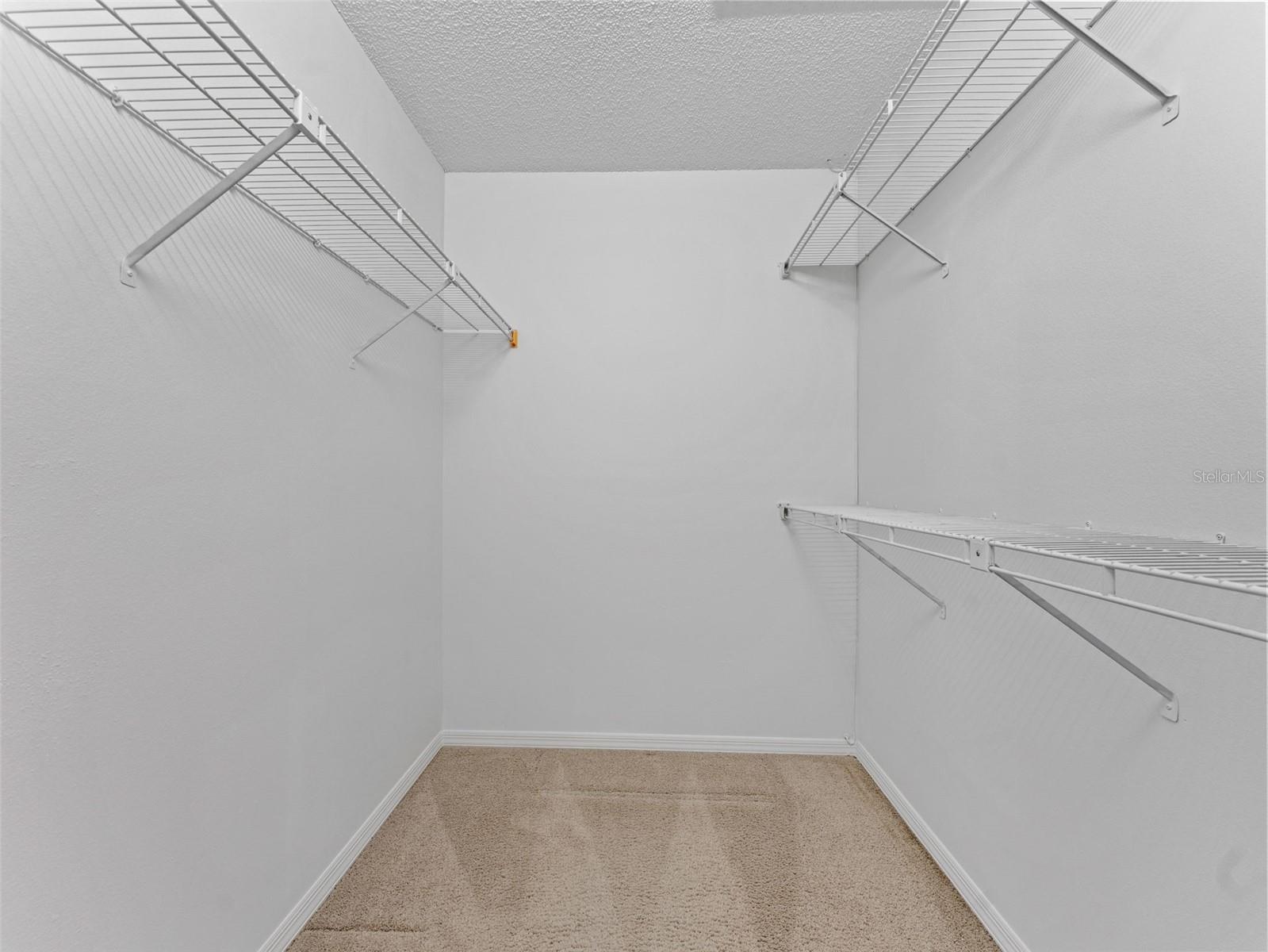 Primary bedroom with a large walk-in closet and additional hall closet — ample storage for all your belongings