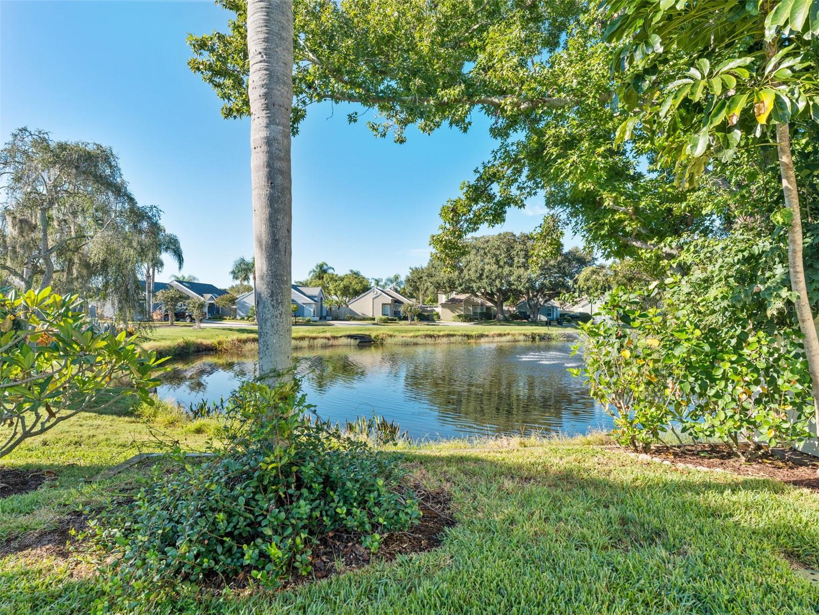 Tranquil Roxbury pond with fountain — a peaceful backdrop that enhances your backyard oasis