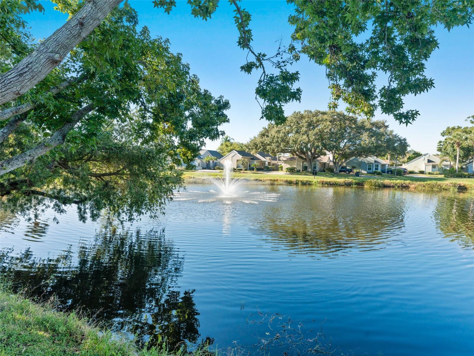 Enjoy serene pond views right from your backyard — a calming escape in the heart of Georgetown East