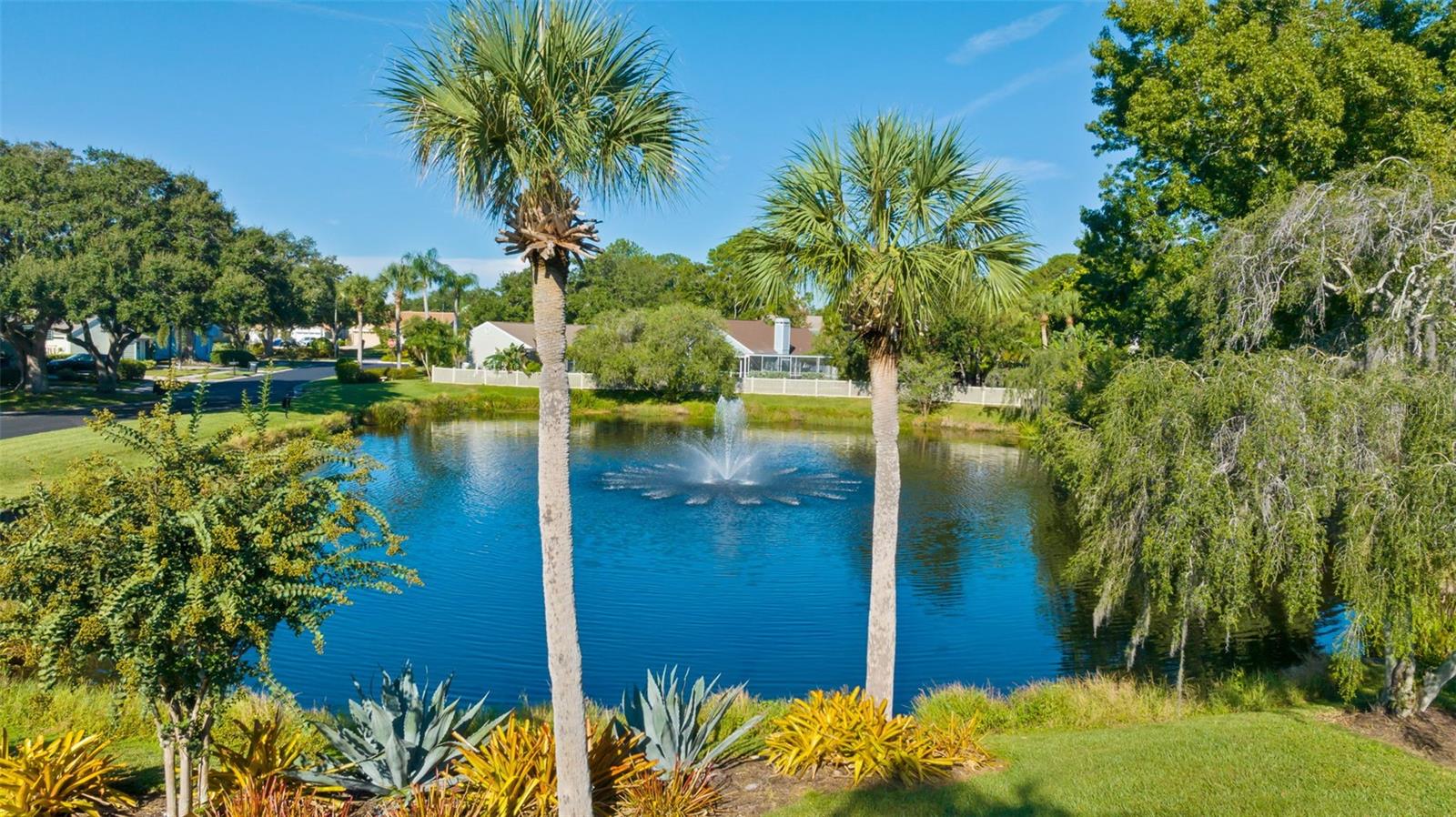 Roxbury Pond — a serene centerpiece for the neighborhood, offering peaceful water views and a relaxing ambiance right in your backyard