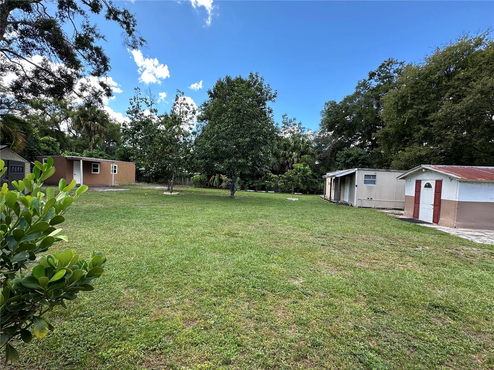 View of the yard from the back patio.
