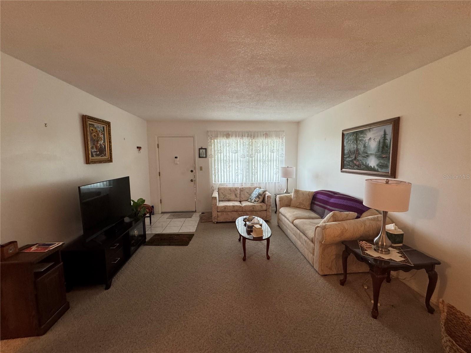 Living room with entrance door