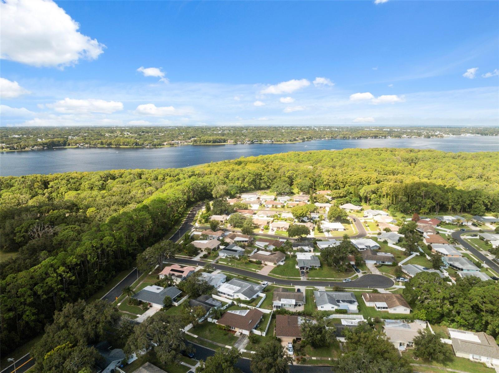 Lake Tarpon