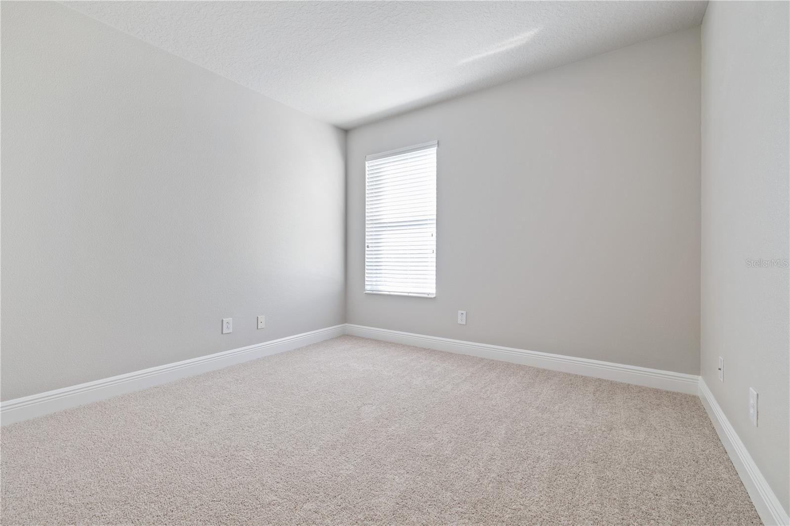Third Bedroom w/New Carpet & Paint
