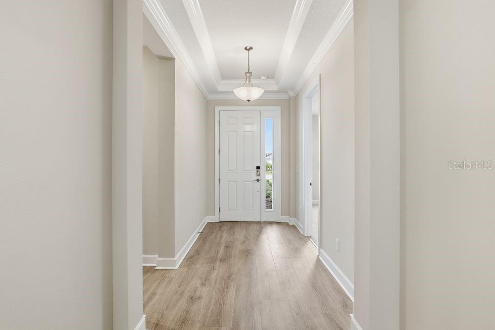 30231 Imperati ~ Ready Now