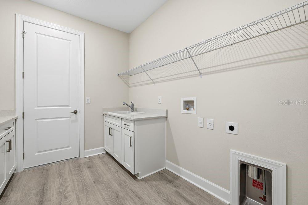 30231 Imperati ~ Ready Now