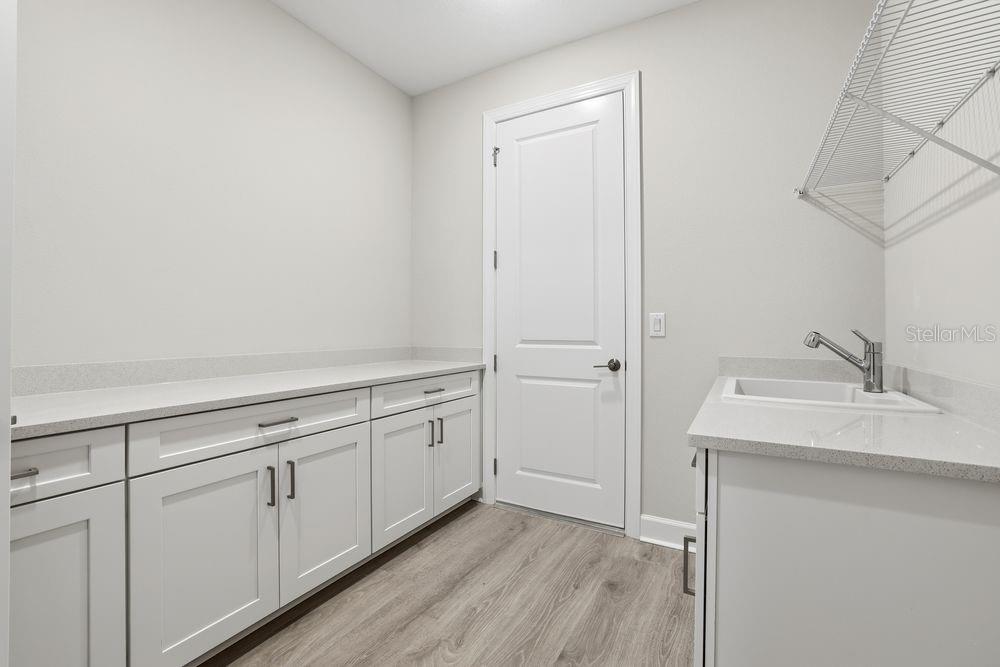 30231 Imperati ~ Ready Now