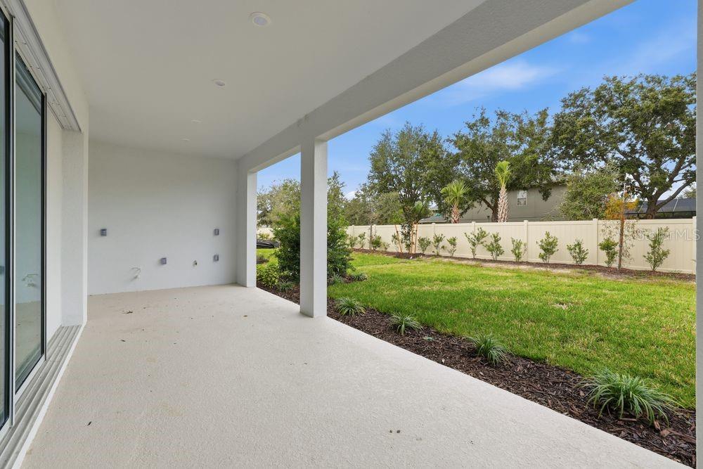 30231 Imperati ~ Ready Now