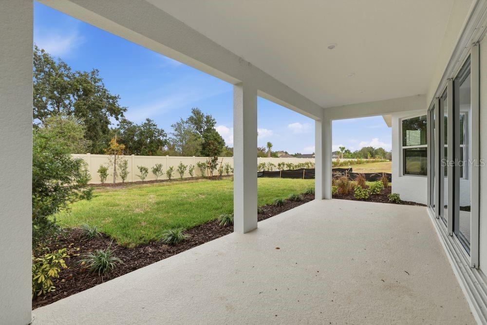 30231 Imperati ~ Ready Now