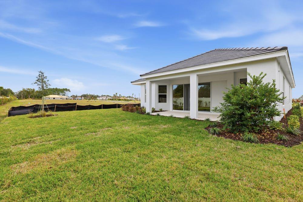 30231 Imperati ~ Ready Now