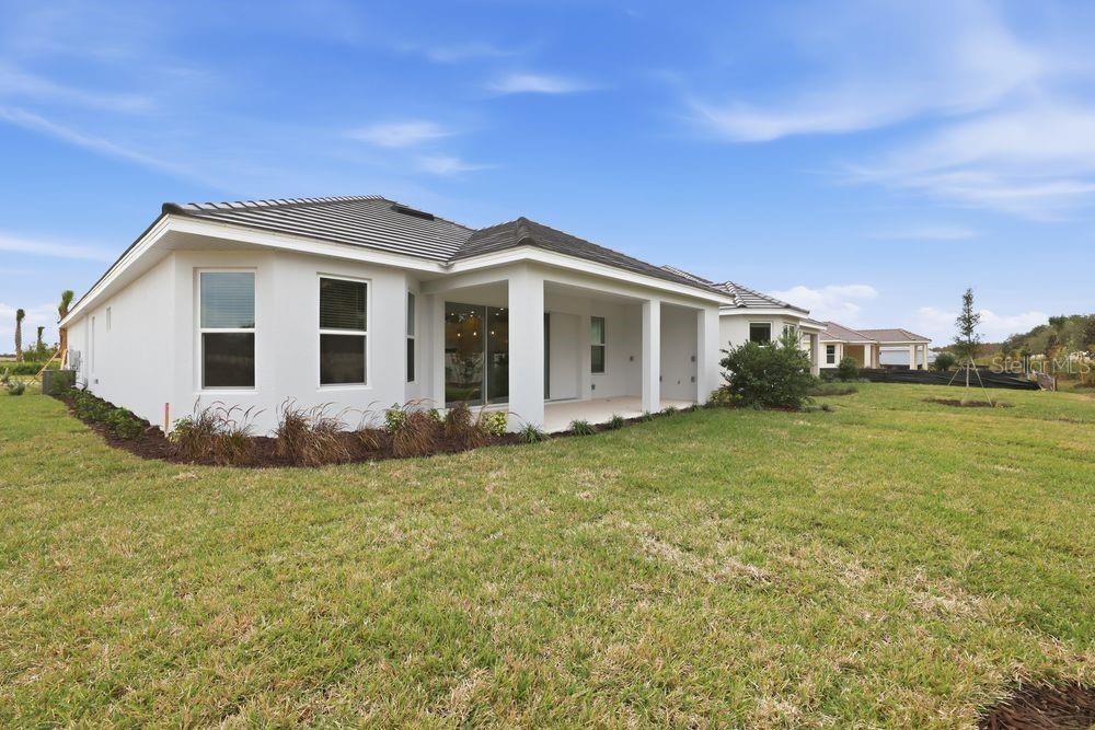 30231 Imperati ~ Ready Now