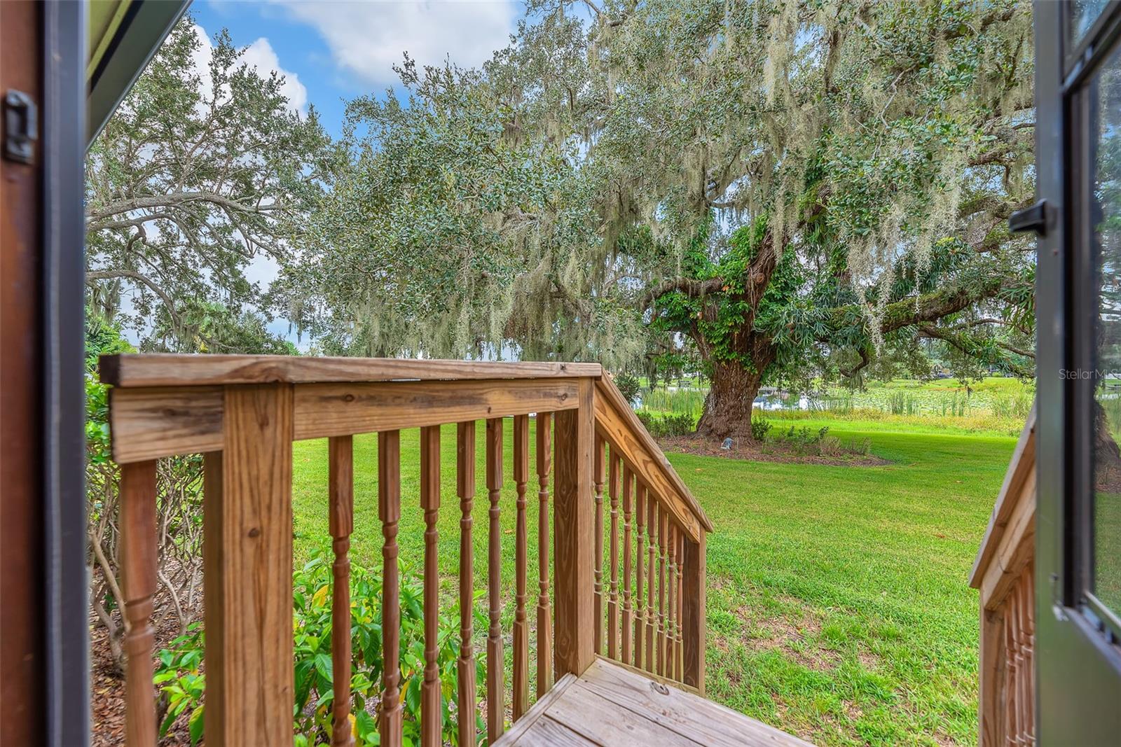 The screened door leads you from the back porch to the back yard with towering grandfather oaks offering shade, privacy, and a sense of timeless beauty