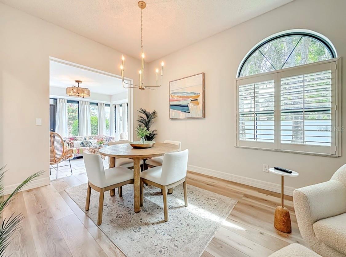 LOTS OF NATURAL LIGHT