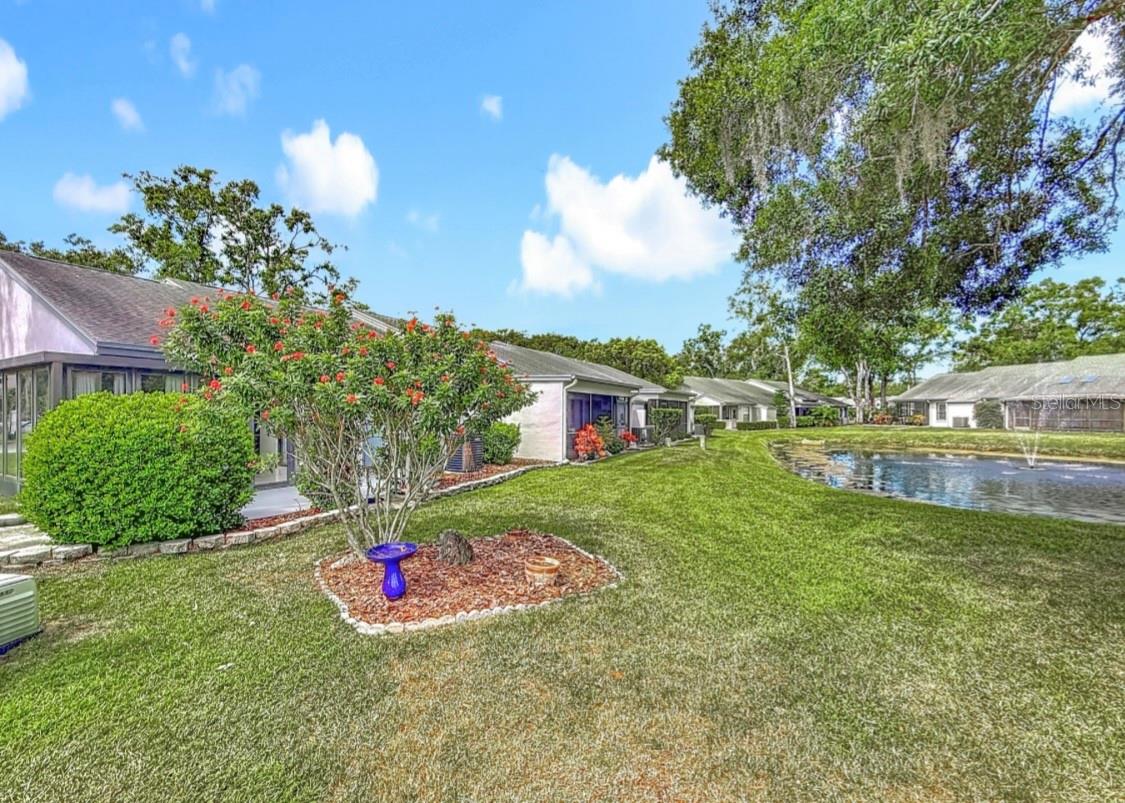 POND VIEW
