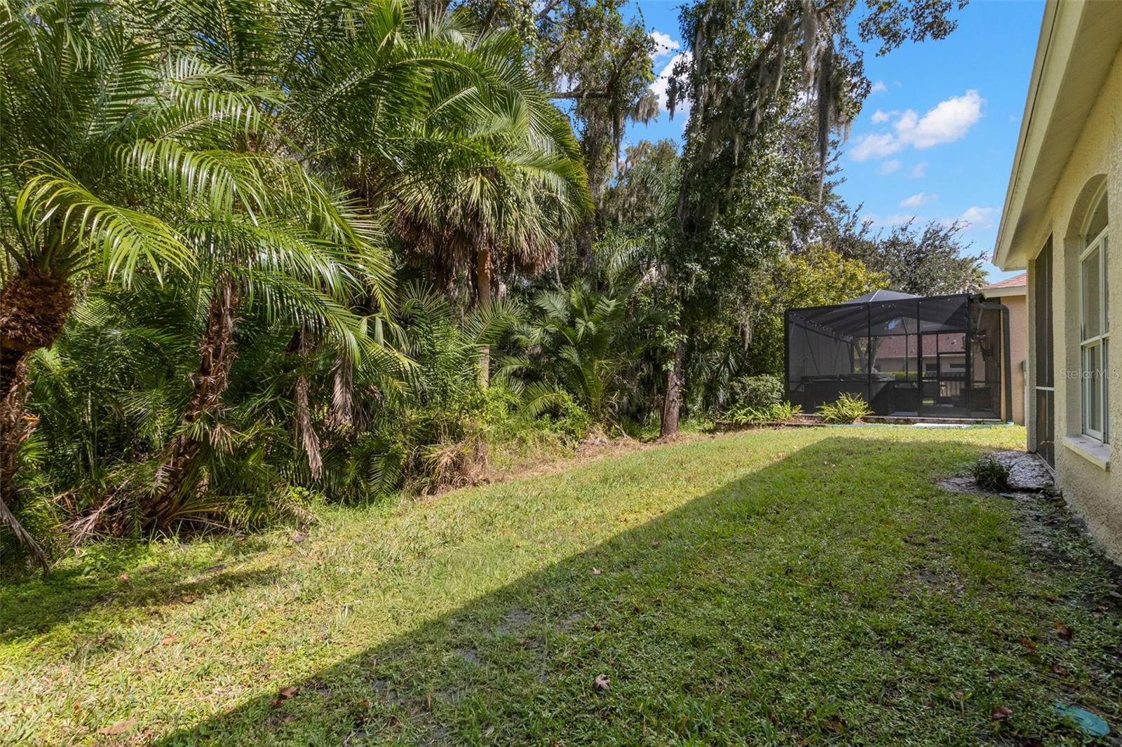 Private backyard backs up to conservation