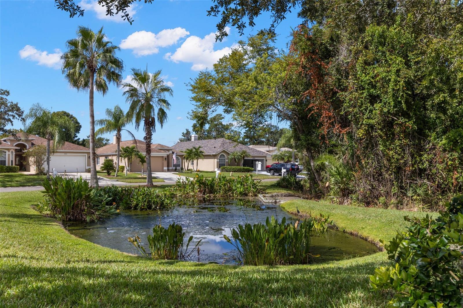 Beautiful pond on conservation to left of your home