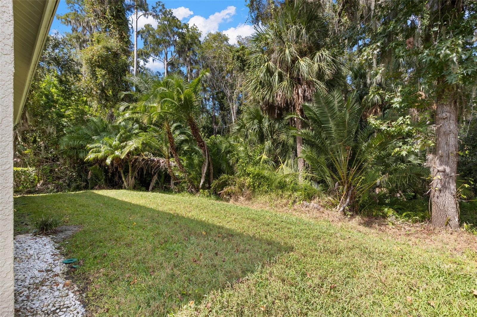 Conservation at rear of property