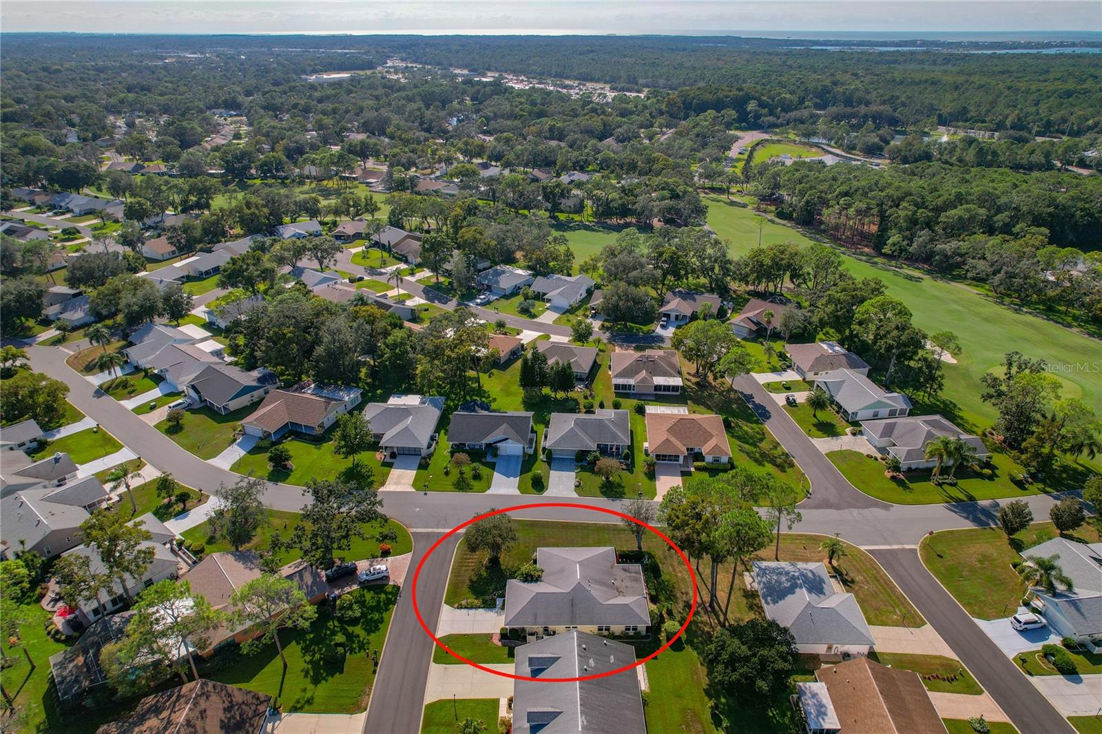 Community Aerial View
