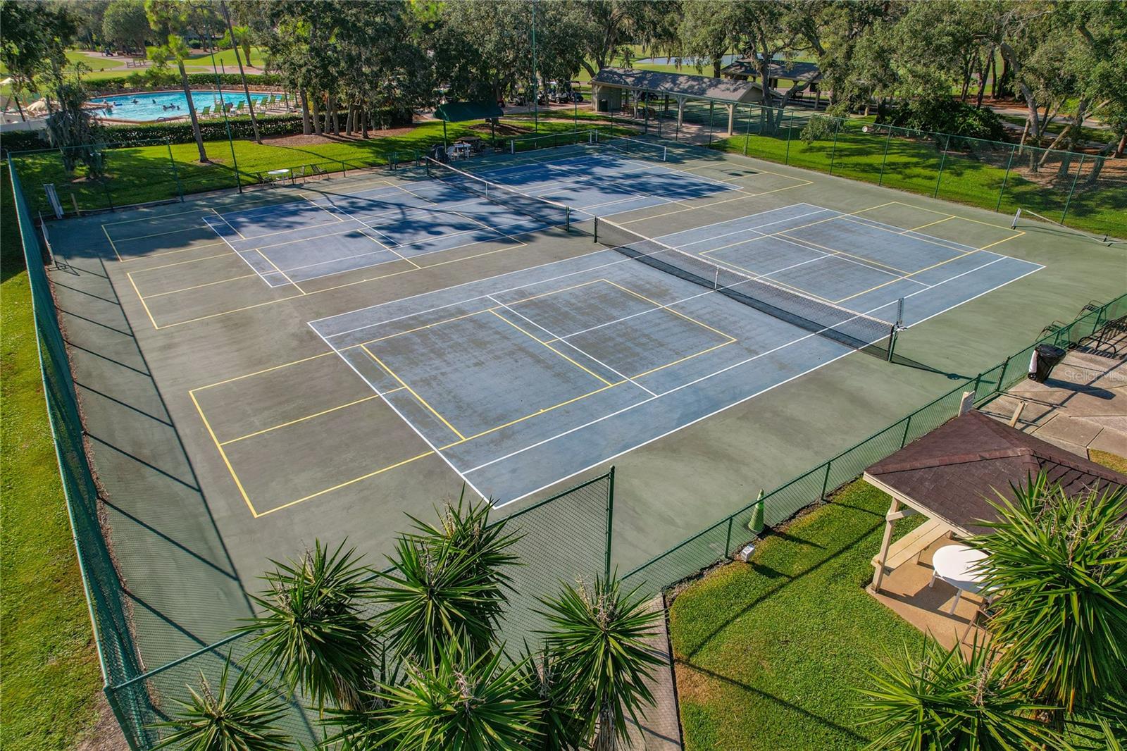 Pickle Ball / Tennis