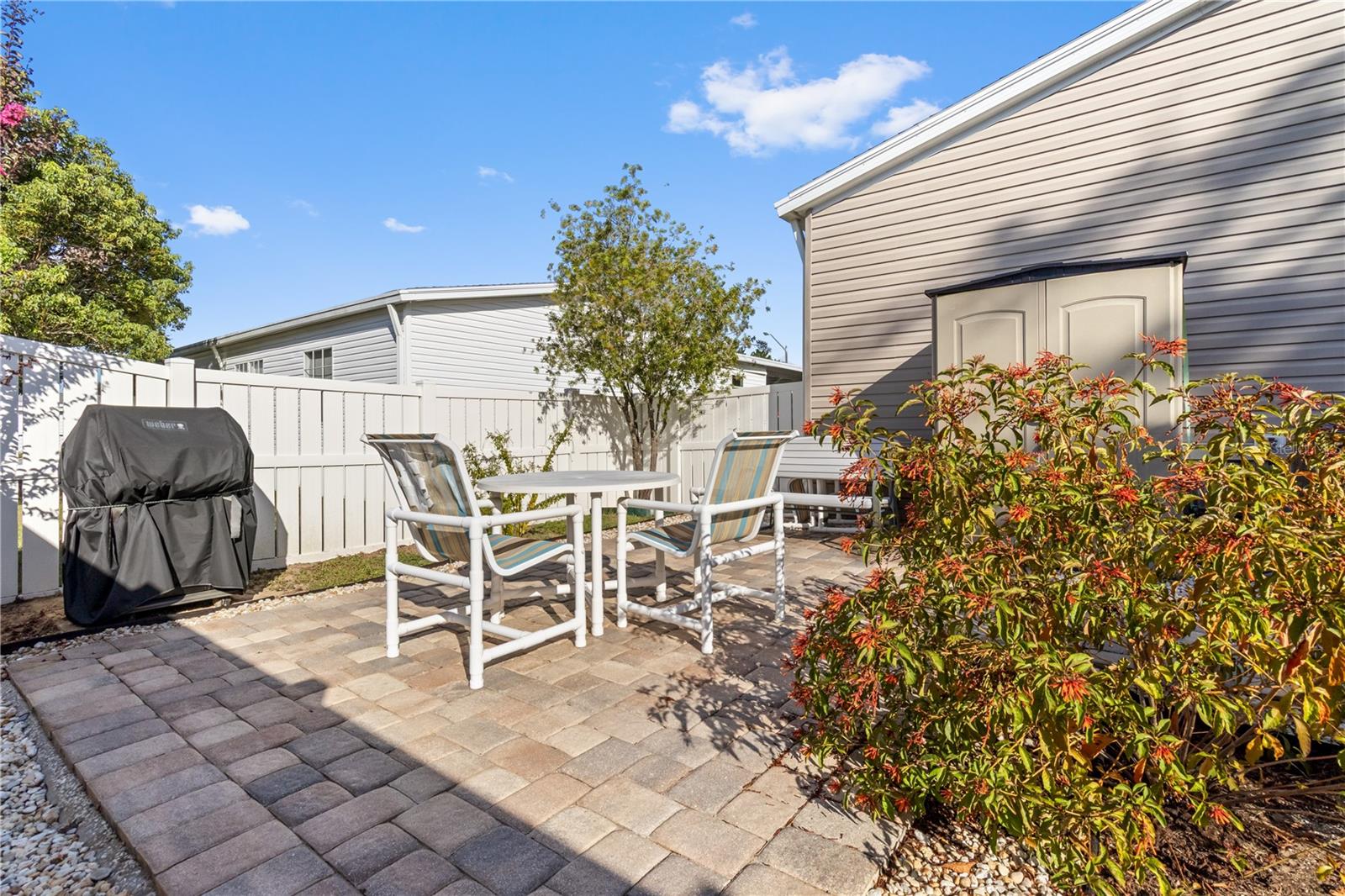 Patio/backyard