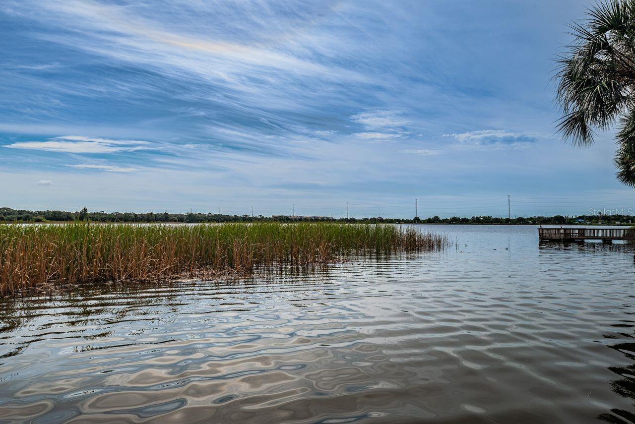 lake seminole balcony View