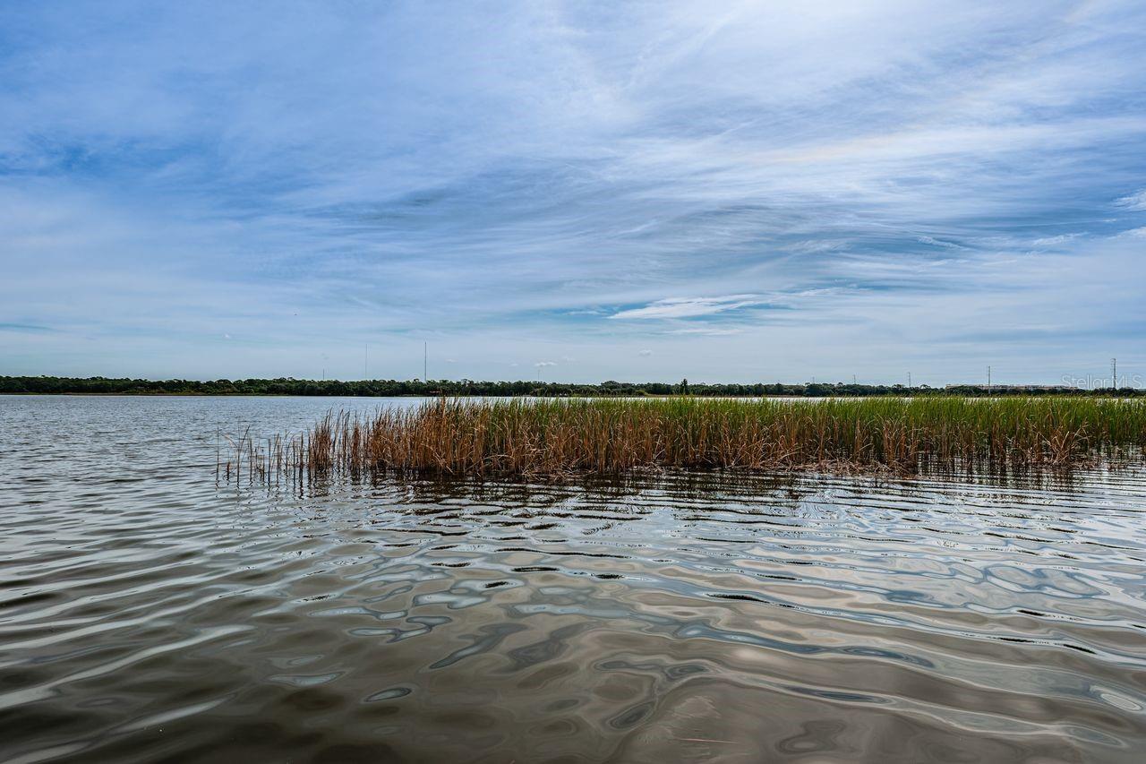 lake seminole