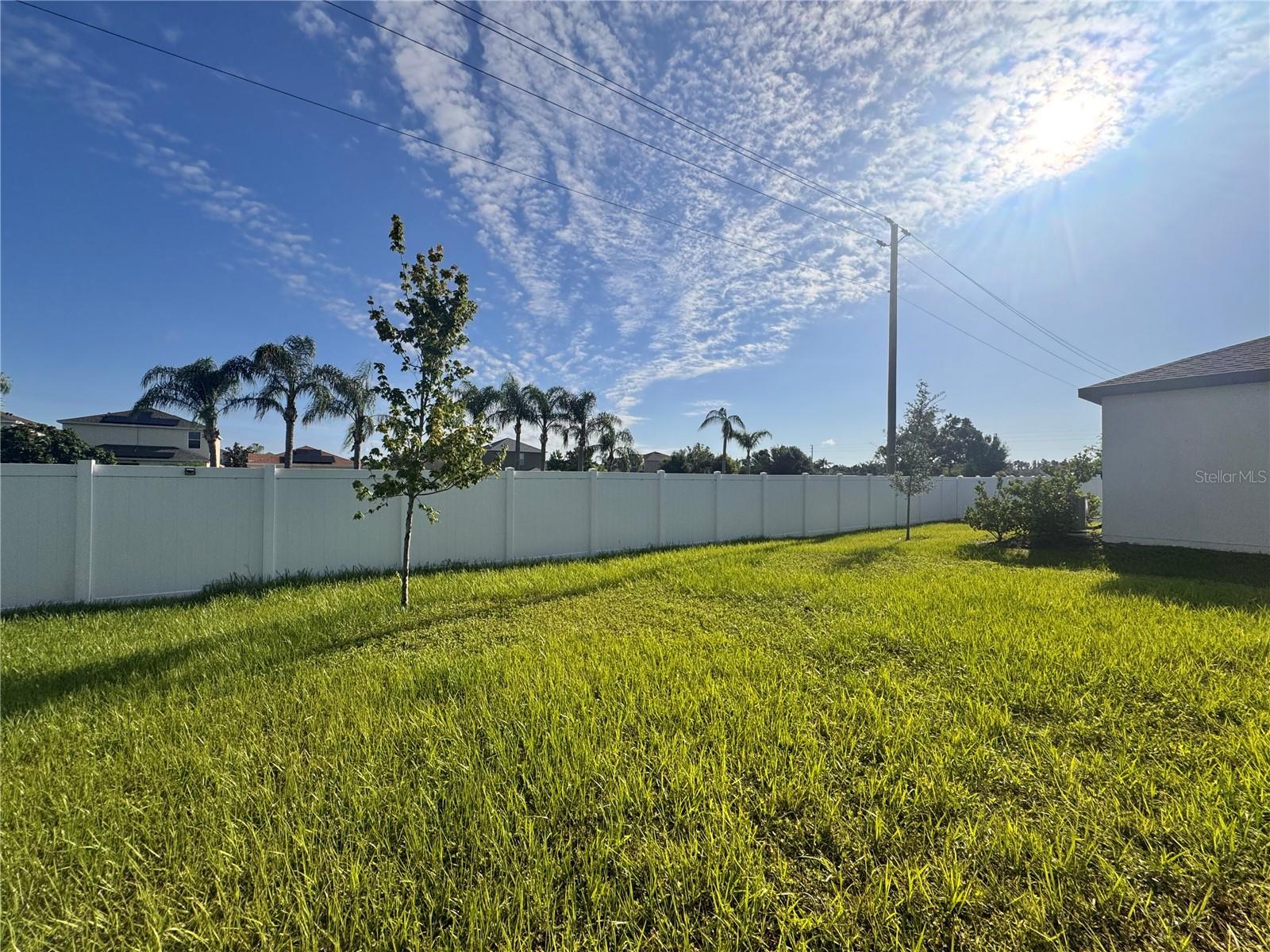 Rear Yard