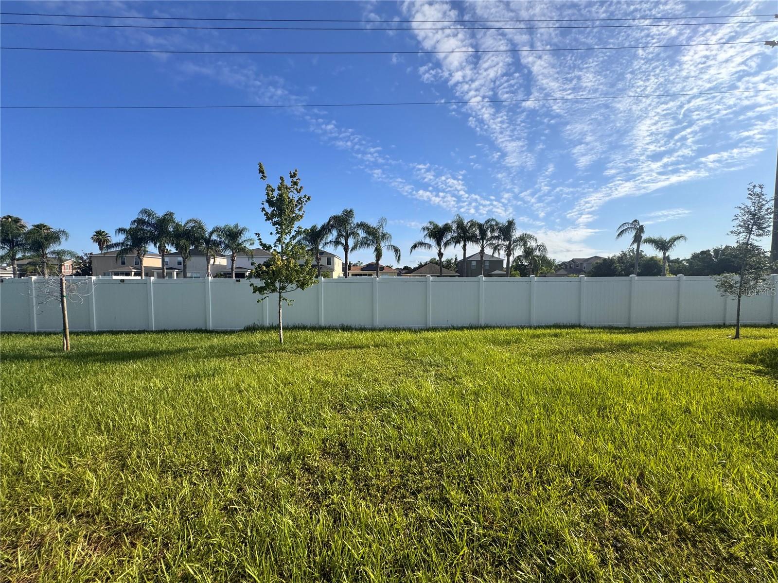 Rear Yard