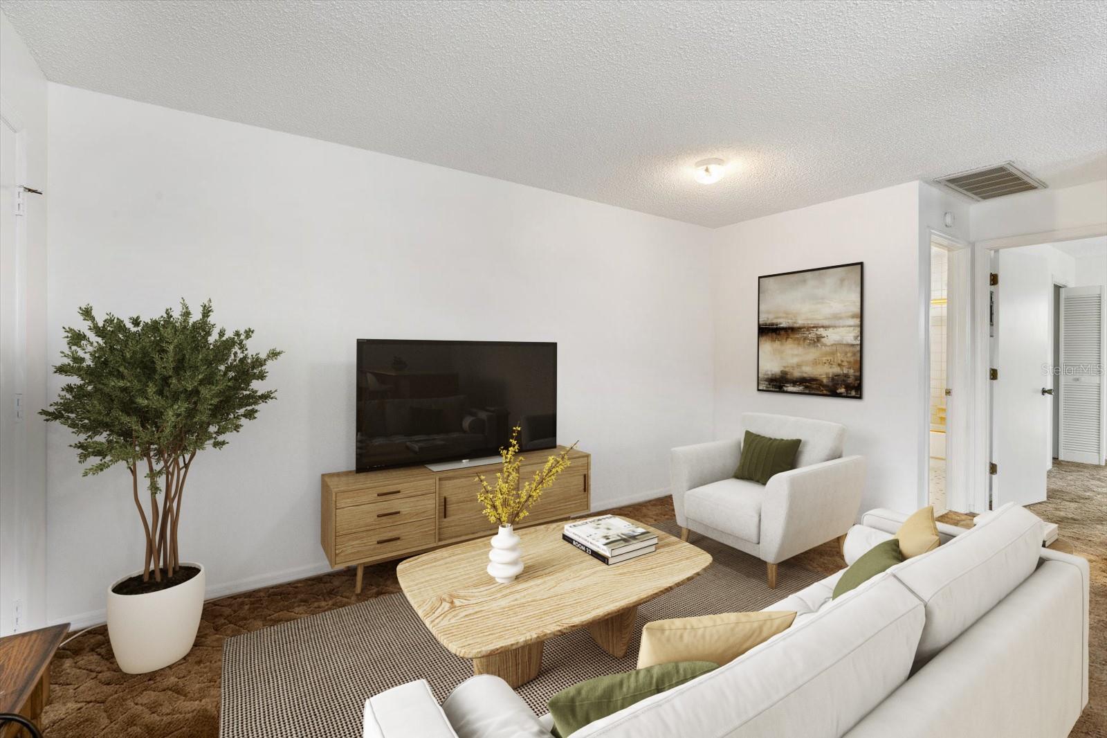 Staged Living Area