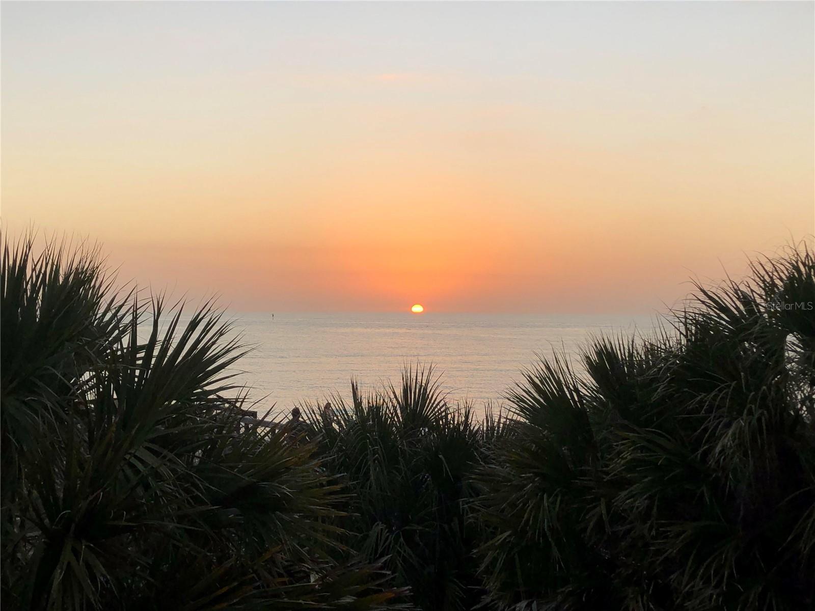 Honeymoon Island State Park