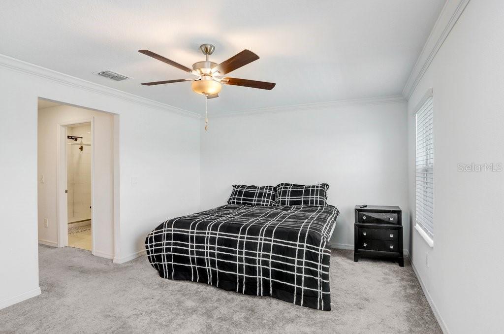 Primary Suite