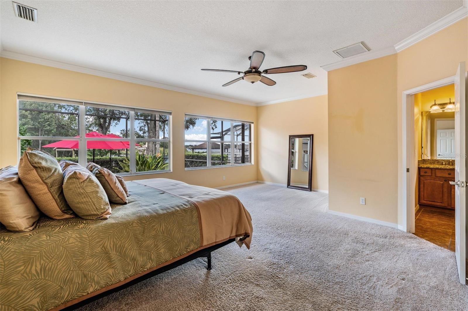 Primary suite with views!
