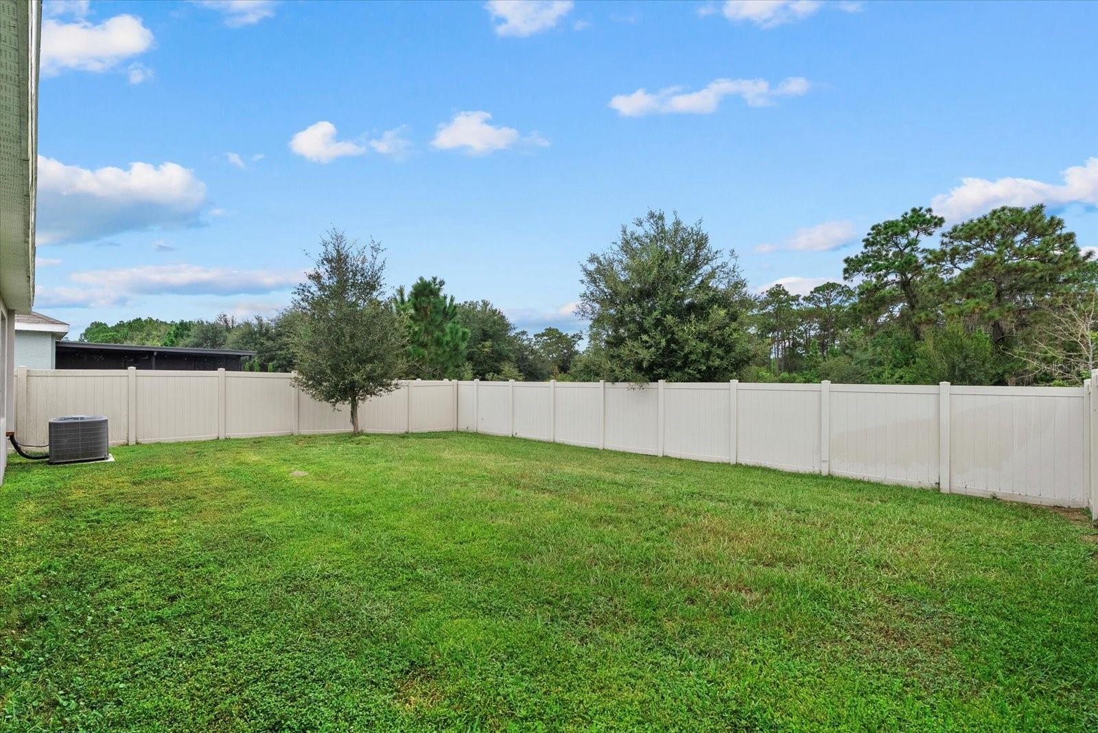 back yard