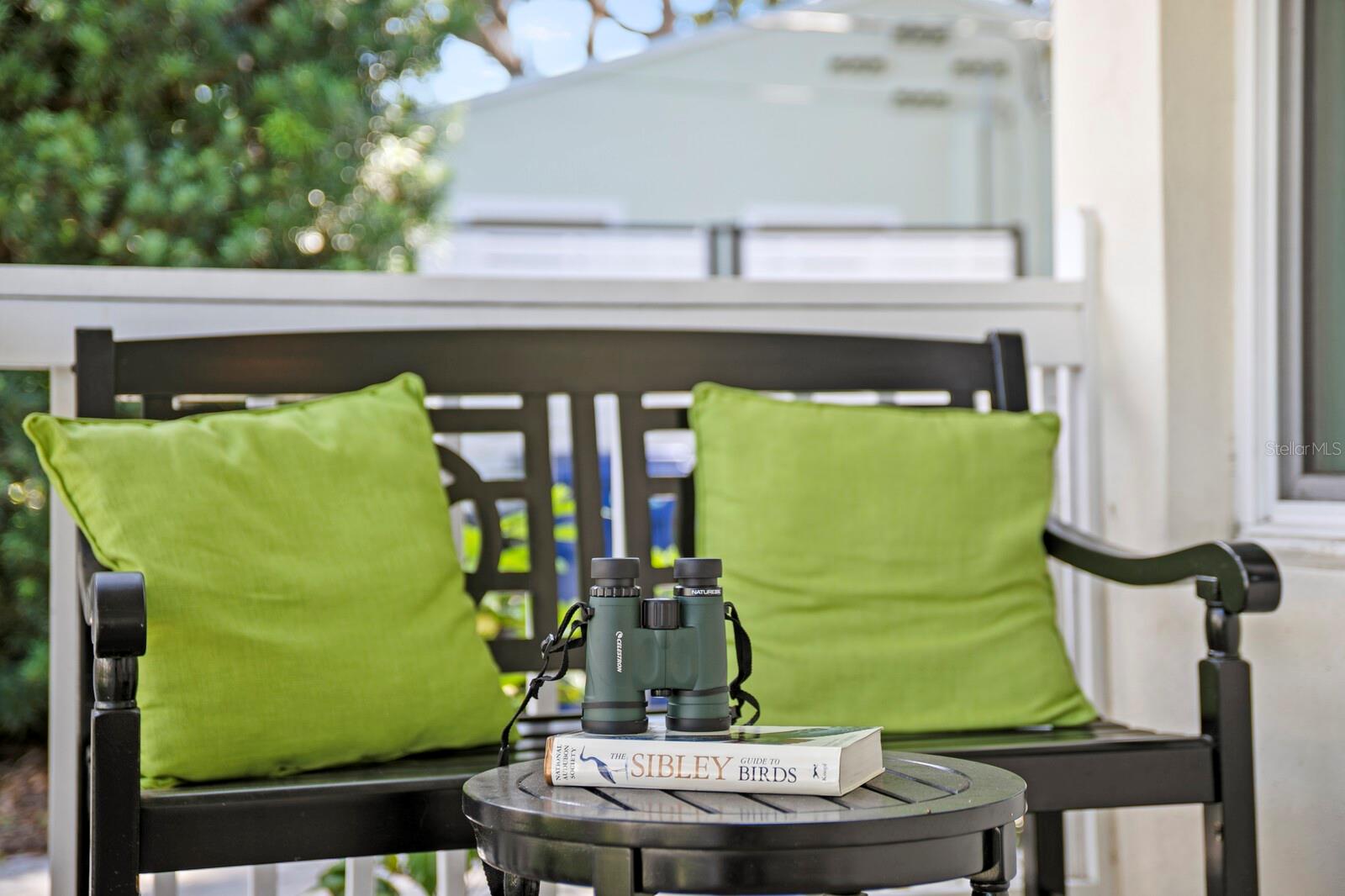 Bird watching on your front porch.