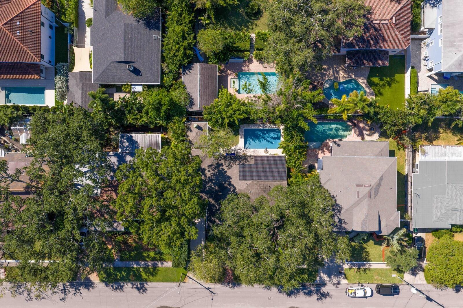 Your new neighborhood.