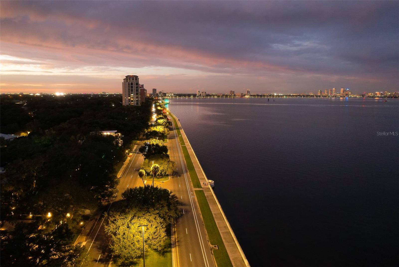 South Tampa Famous Bayshore Blvd