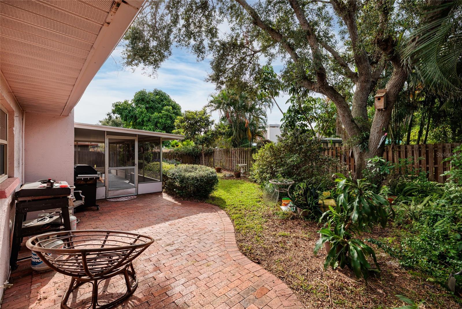 Backyard and patio