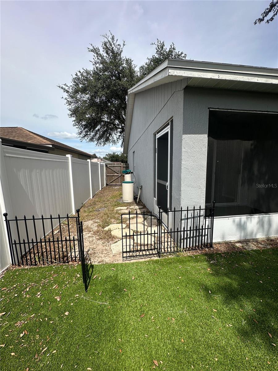 Backyard Left