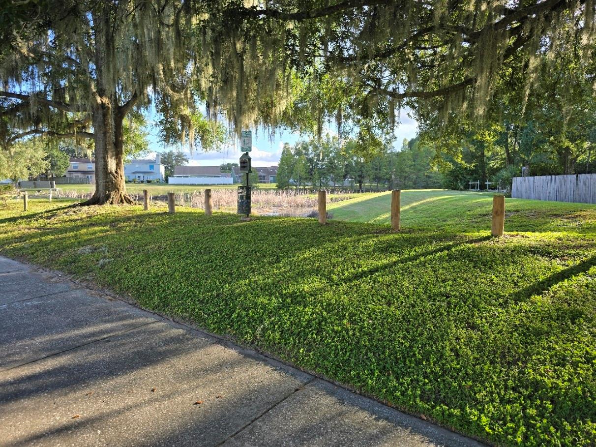 Dog Park